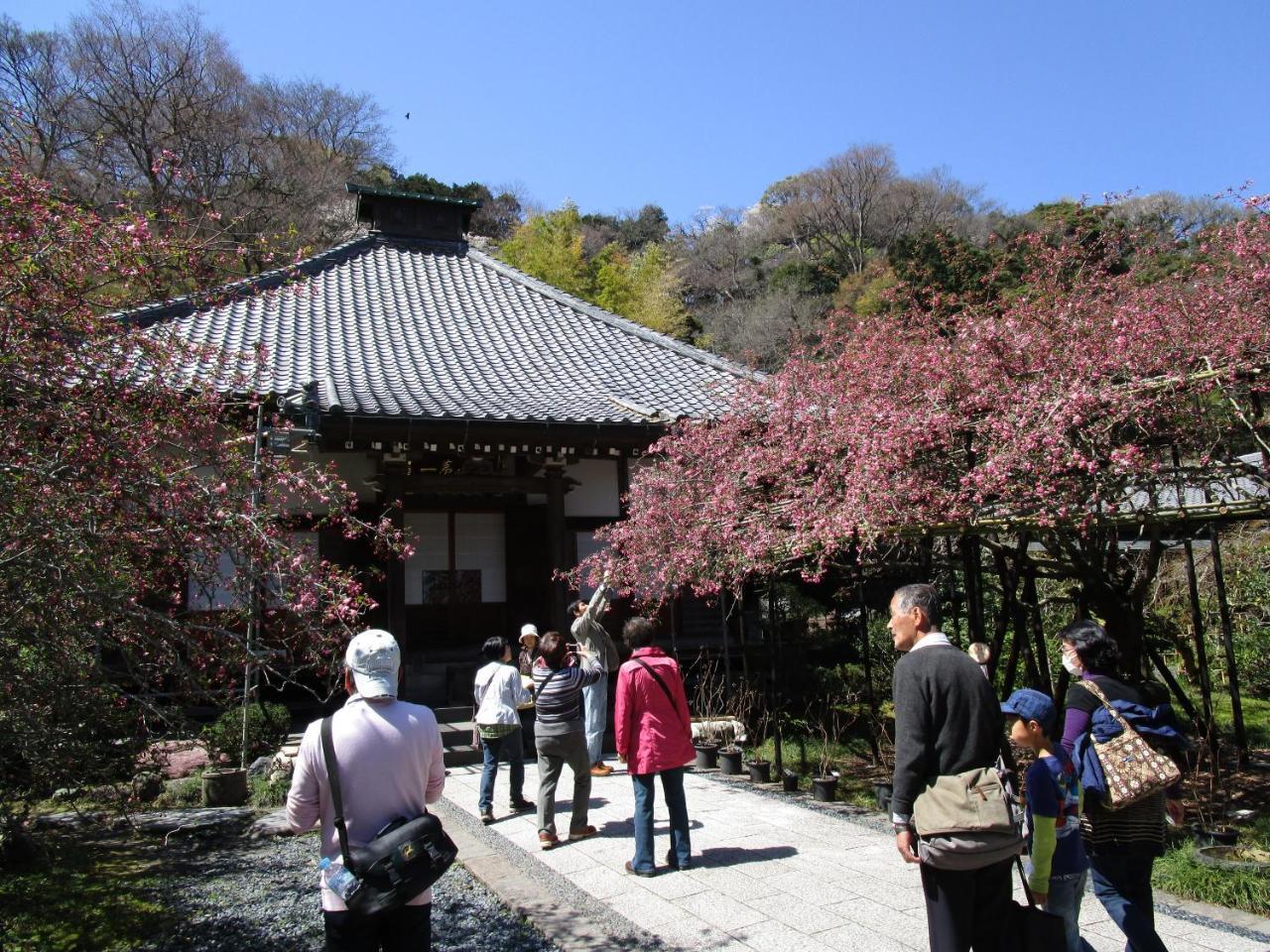鎌倉セントラルゲストハウス鎌倉市 エクステリア 写真